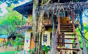 Sigiriya Rastha Hostel